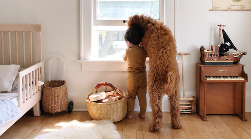 Avoir Un Bebe Et Un Chien A La Maison C Est Possible Terre De Mamans